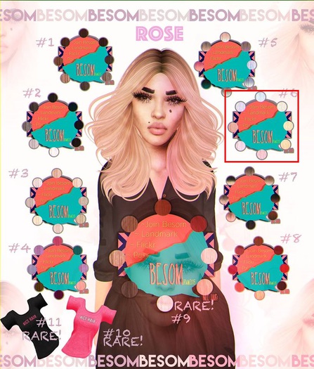 *Besom Hair~ Rose *Colors*