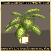 LW_ Mesh Indoor Plant - 2 (1 LI/Prim)