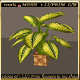 LW_ Mesh Indoor Plant - 3 (1 LI/Prim)