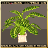 LW_ Mesh Indoor Plant - 4 (1 LI/Prim)