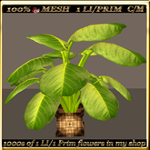 LW_ Mesh Indoor Plant - 6 (1 LI/Prim)
