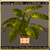 LW_ Mesh Indoor Plant - 7 (1 LI/Prim)