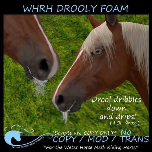 ~FHHS~ WHRH Droolyfoam