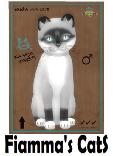 KittyCatS Box - Foxie - Salt & Pepper Mask