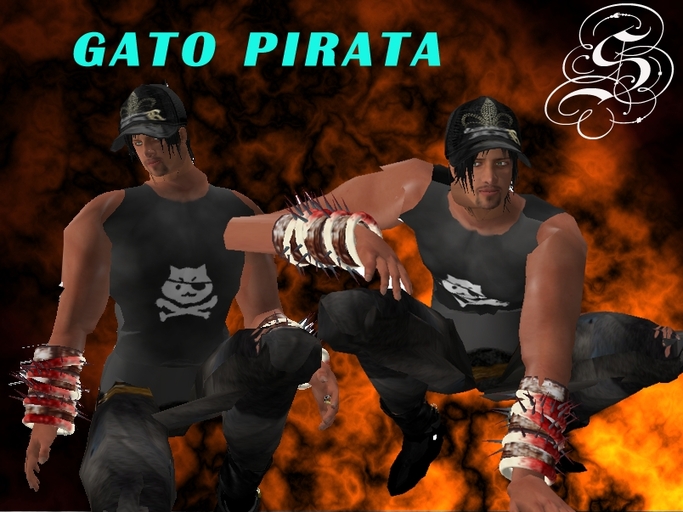 GATO PIRATA b