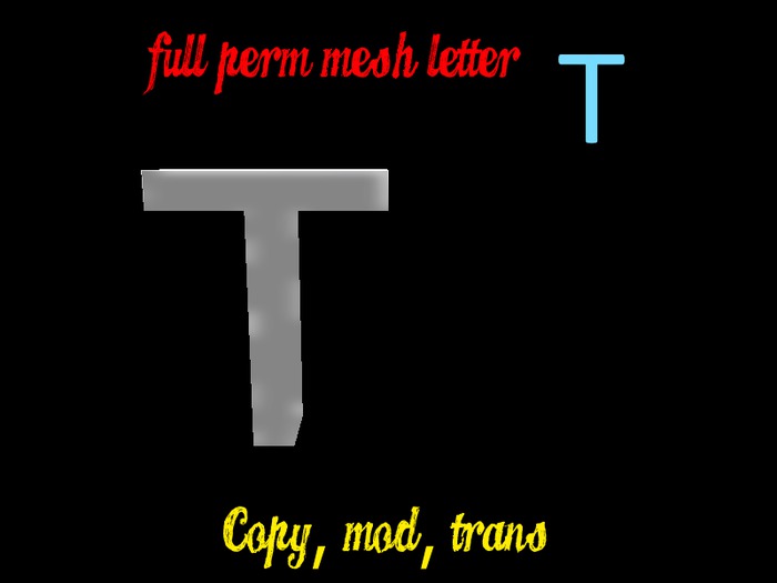 Mesh Letter T-- Full Perm