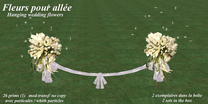 Bte Fleurs blanches allee