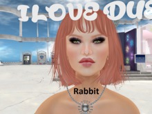 [DUE] Rabbit // Ombre 2