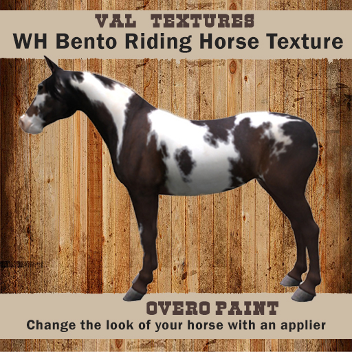 >VAL< Overo Paint for Riding BENTO WH [ADD]