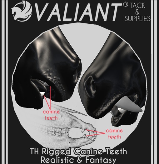 VALIANT® - TH Rigged Teeth