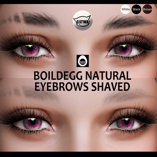 BOILDEGG::NATRAL EYEBROWS FATPACK