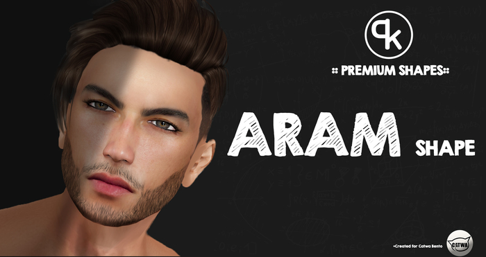(PK) Aram Shape ::PREMIUM::