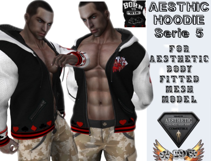 *CD* AESTHETIC Hoodie Serie 05