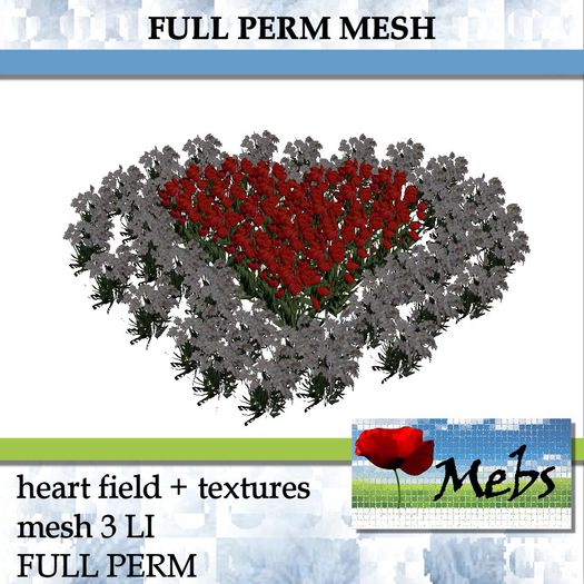Heart  field mesh 3 LI full perm