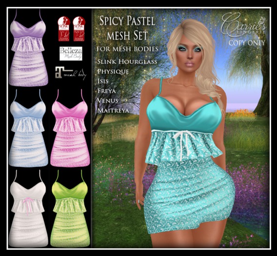 CB~Spicy Pastel Mesh Set (BOX)