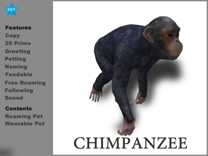 Chimpanzee Box
