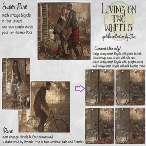 ..::THOR::.. Bicycle Black + Pumpkins Crate COMMON