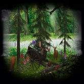 ~BO~ Forest Scene 1-14LI