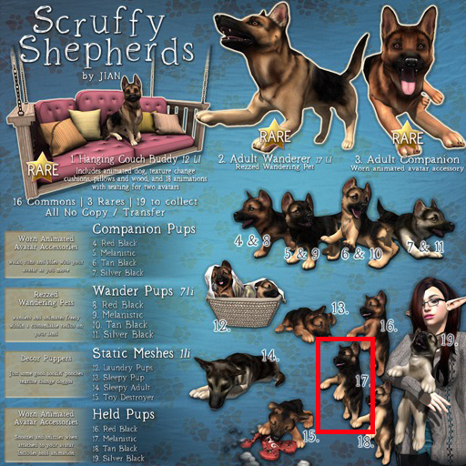 JIAN Scruffy Shepherds BOX 17. Held Pup Melanistic