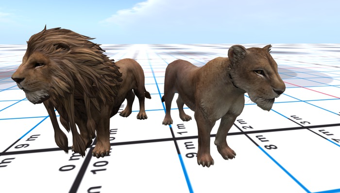 LION & LIONESS
