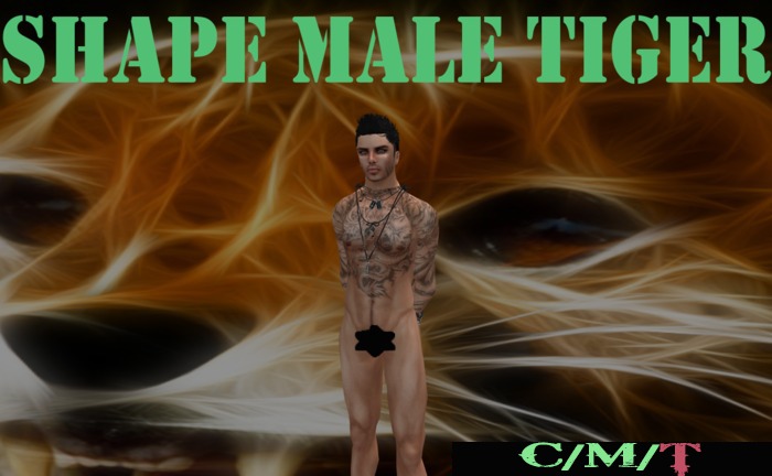 OY! SHAPE MALE TIGER