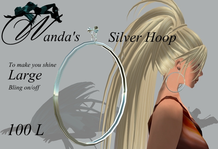 Wanda's Silver Hoop Earrings- Large * Bling on/off
