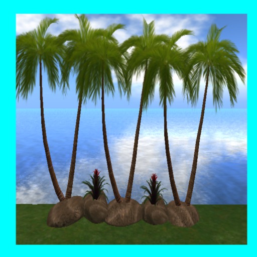 [FP] Sassy's Tropical Palms Boarder