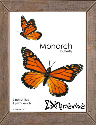 Object:: 2Xtreme :: Monarch Butterfly, 2 pack