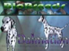 BioBreeds (BB) Dog FEMALE Dalmatian STARTER (Boxed)