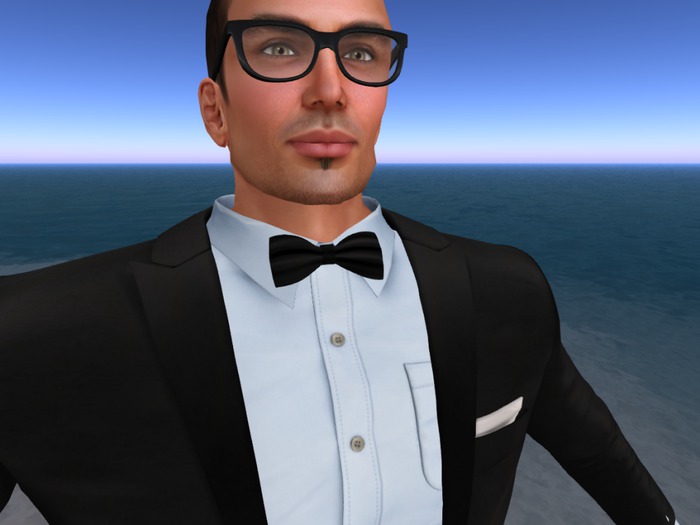 Mesh Bow Tie