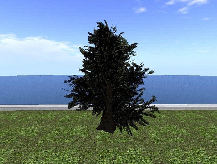 2prims Sculpted Tree, Version2 Transfer