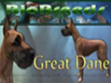 BioBreeds (BB) Dog FEMALE Great Dane STARTER (Boxed)