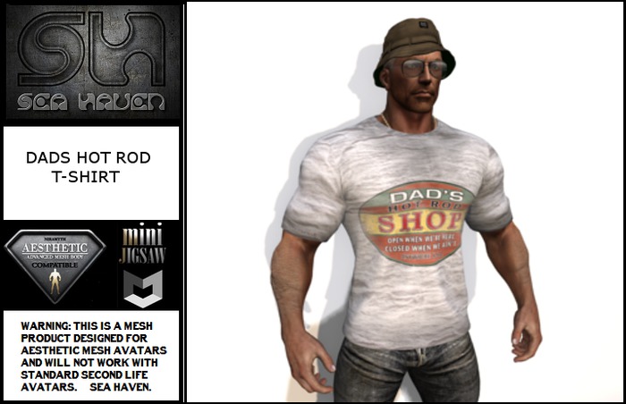 DADS HOT ROD T-SHIRT - Fitted Mesh