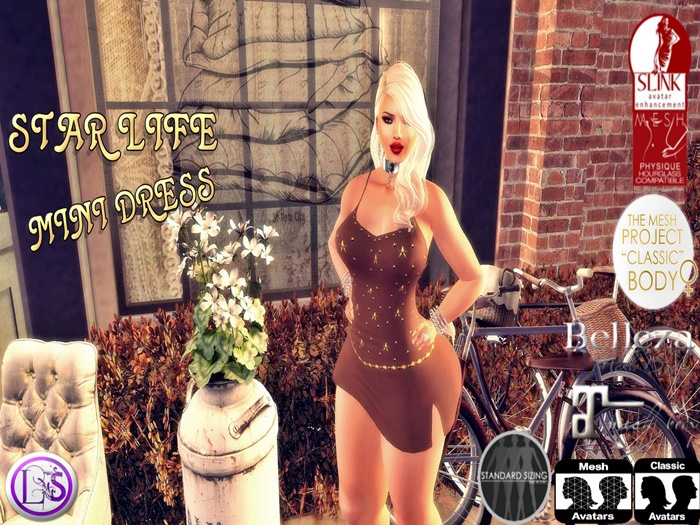 .~LS~STAR LIFE MINI DRESS {BROWN