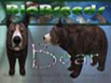 BioBreeds (BB) Wild Ones MALE Bear STARTER (Boxed)