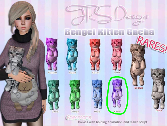 Bengel Kitten Common Cure