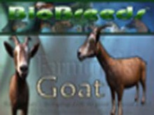 BioBreeds (BB) Farmimals FEMALE Goat STARTER (BOXED)