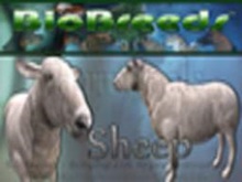 BioBreeds (BB) Farmimals FEMALE Sheep STARTER (BOXED)