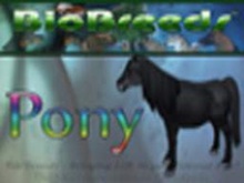 BioBreeds (BB) Horses FEMALE Pony STARTER (Boxed)
