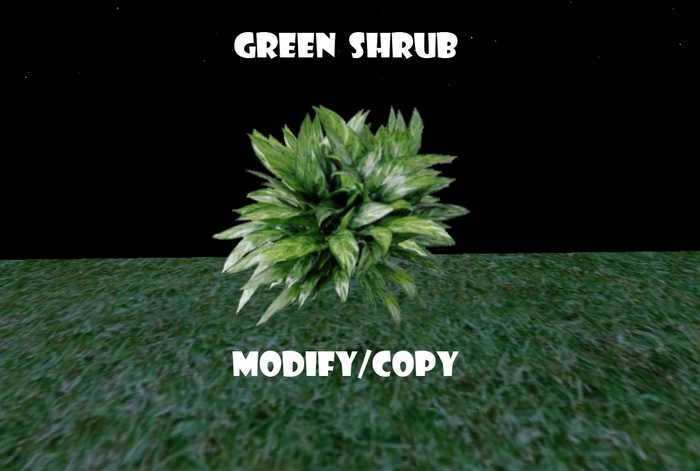 1 Prim Green Shrub
