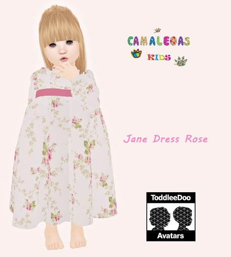 Jane Dress Rose
