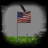 American Flag Tip Jar 8 Prims