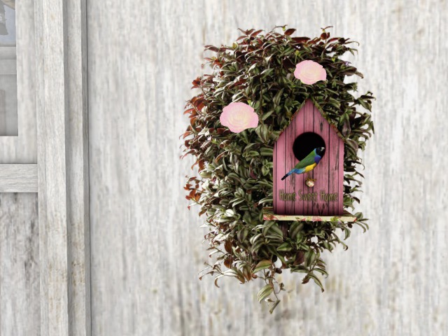 Wall Bird House 2