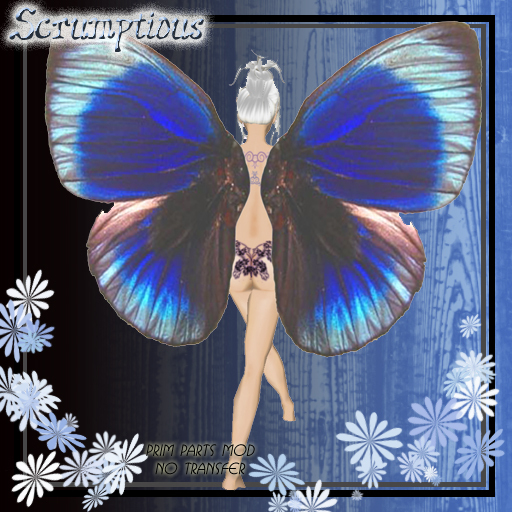 Scrumptious Powdery Blue Butterfly Wings