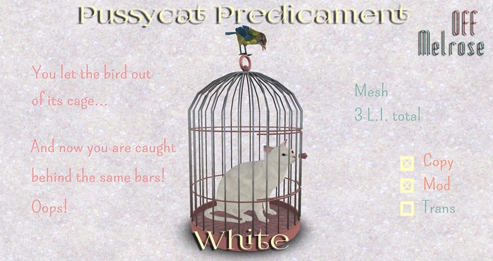 [offM] Pussycat Predicament - white mesh BOX