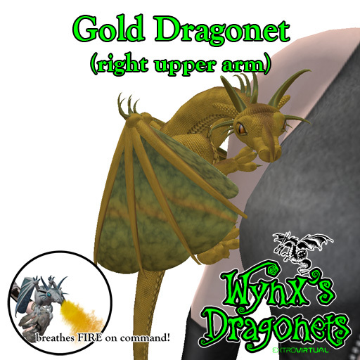 Gold Dragonet (rt upper arm)