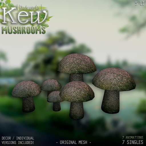 [Kres] Kew Mushrooms