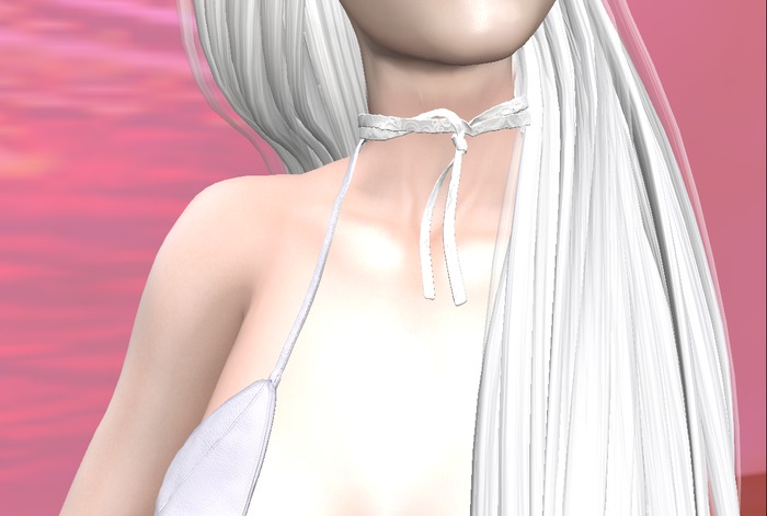 Silk Neck Ribbon White Lace