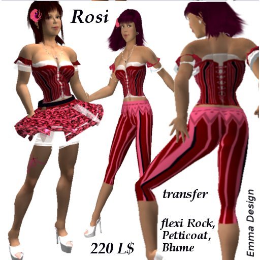 Dirndel -Rosi