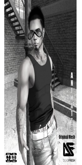 [DF]Branger_Sun Shades